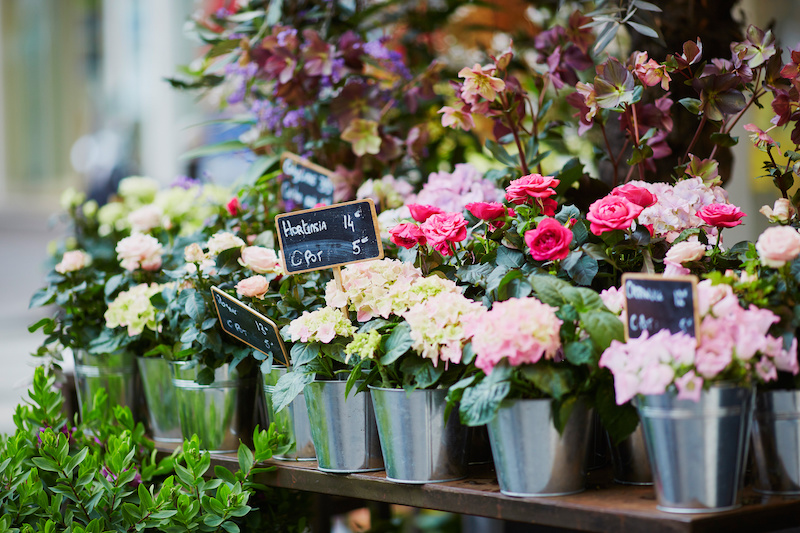Blommor