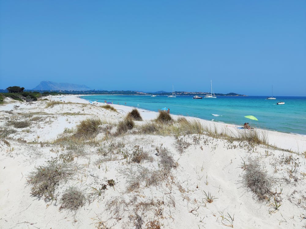 Cala Brandinchi beach