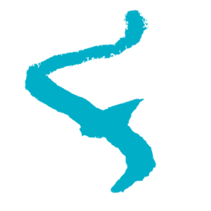 Flowtrack