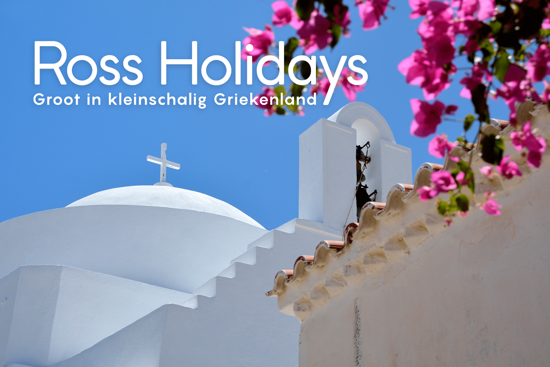 Ross Holidays